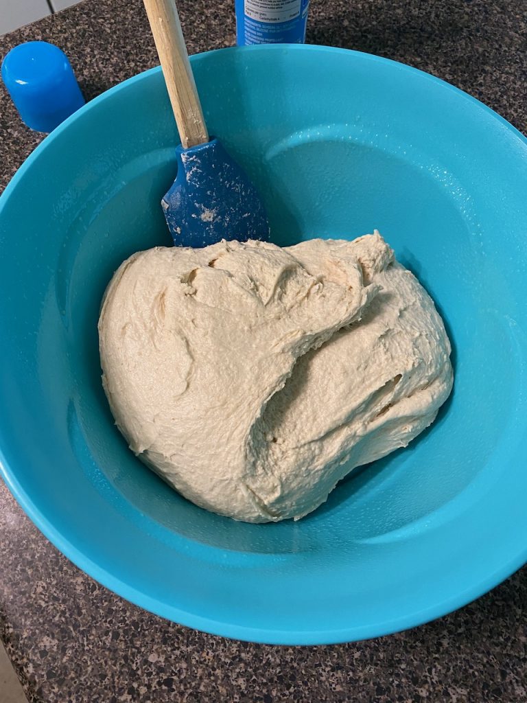 Freshly kneaded dough in an oiled bowl