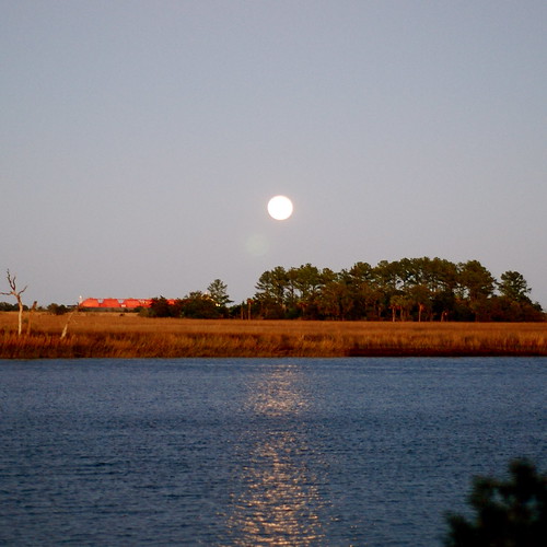 The moon rises over the the tidal marsh