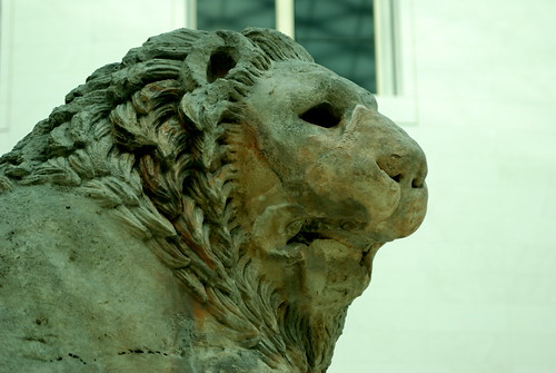 The lion at the British Museum