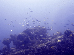 a picture of a sunken ship - actually under the water!