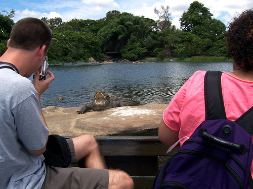 Cliff holding a camera up to his face while staring down an open-mouthed crocodile.