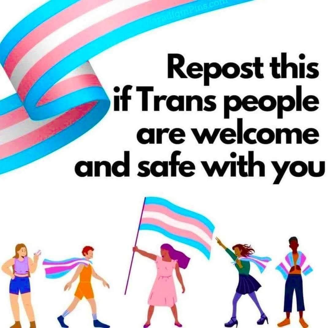 Large ribbon in Trans Pride Flag colours is at the top left corner reaching to the top. On the left hand side, in large black letters, reads : "Repost this if Trans people are welcome and safe with you".

Below the text are four  drawings of gender-diverse individuals. The one in the middle is a drawing of someone with long dark purplish hair and a pink dress with red shoes. They have a reddish brown skin tone and no visible facial features. They are holding a large Trans Pride flag. The other individuals are wearing trans pride flag colour as scarves, shawls, etc.