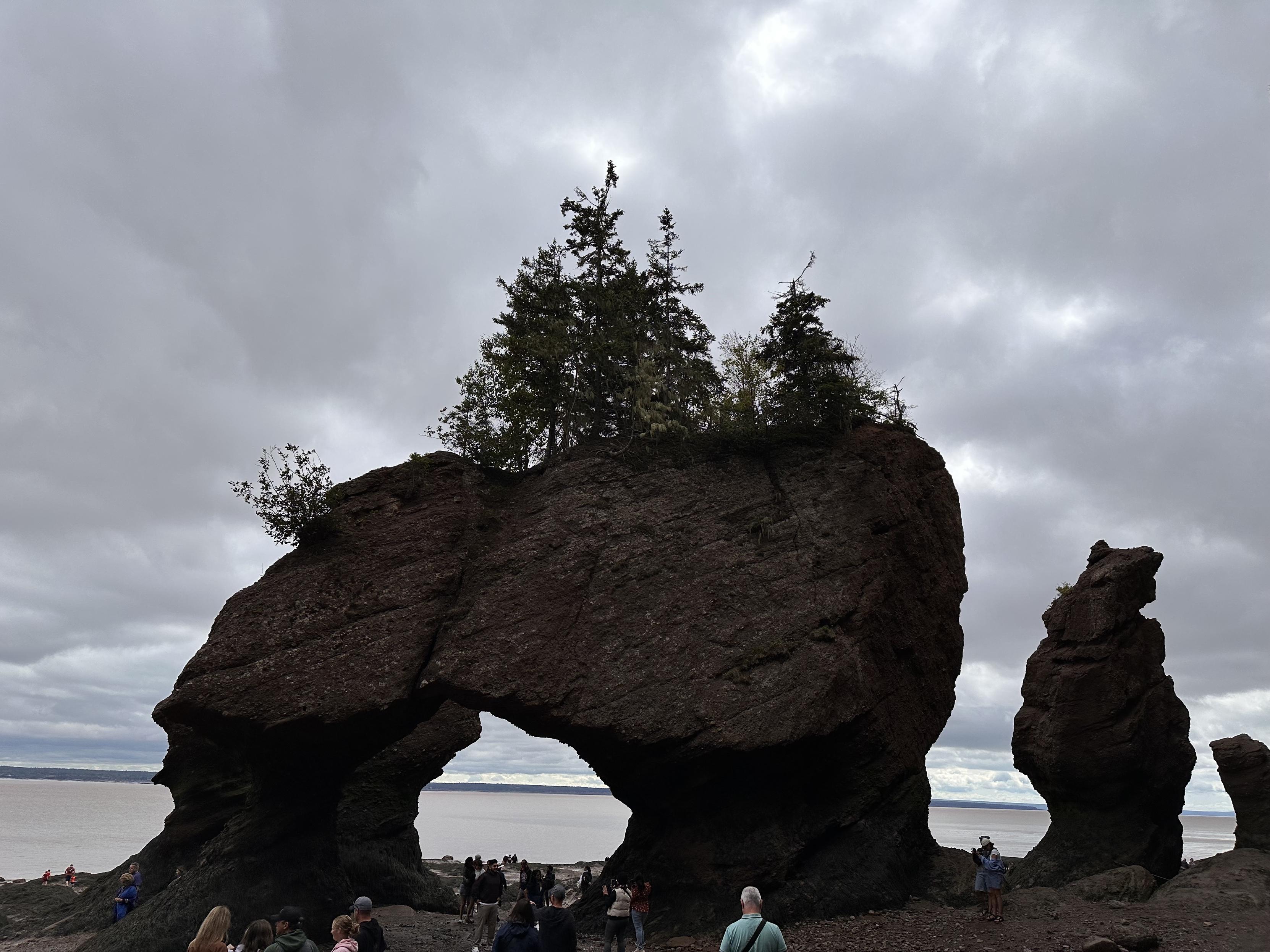 Hopewell Rocks, a rock formation on a cloudy day, forming a natural arch.  There are a few trees at the top, perched precariously. 