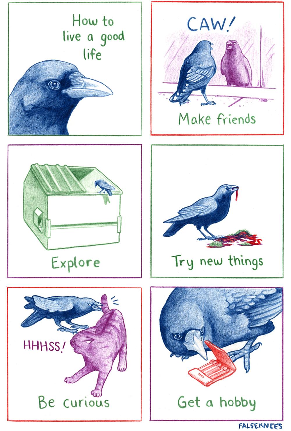 The first panel shows a crow with the title "How to live a good life". The second panel shows a crow cawing at itself in the mirror with the subheading "Make friends". The next panel says "Explore" and shows a crow looking into a commercial waste bin. The next says "Try new things" with a crow eating something vile. The next one says "Be curious" and shows the crow grabbing a hissing cat's tail". The final frame says "Get a hobby" and shows the crow looking closely at a book of matches.