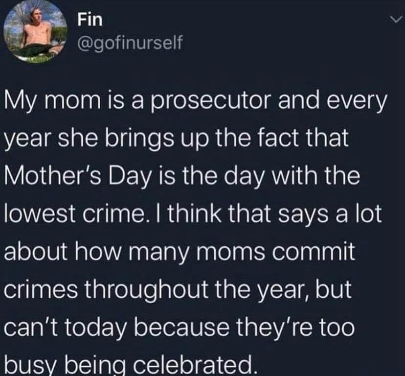 screenshot of a post from @gofinurself :
My mom is a prosecutor and every year she brings up the fact that Mother's Day is the day with the lowest crime. I think that says a lot about how many moms commit crimes throughout the year, but can't today because they're too busy being celebrated.