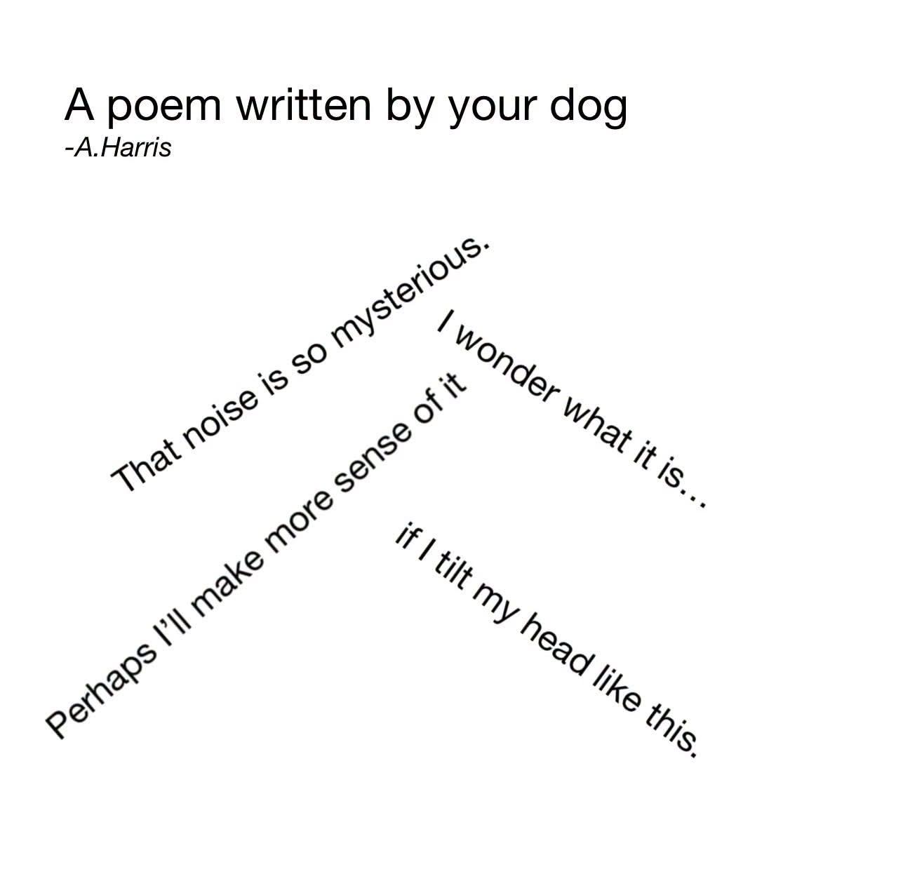 A minimalist white image featuring a humorous poem titled “A poem written by your dog” by A. Harris. The poem’s lines are arranged diagonally and at angles, forming a shape reminiscent of a dog’s tilted head. The text reads:
“That noise is so mysterious. I wonder what it is… Perhaps I’ll make more sense of it if I tilt my head like this.”
The playful layout visually mirrors the curious head tilt dogs make when hearing an unfamiliar sound.