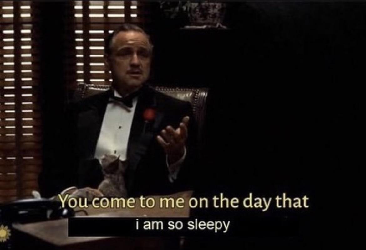 The Godfather (from the wedding at the beginning of the first movie) sitting at a desk with a cat on his lap. The text "You come to me on the day that I am so sleepy" is displayed in white letters.