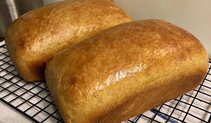 Carolina Rice and Wheat Bread